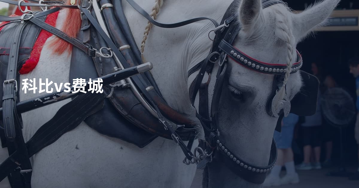 科比vs费城
