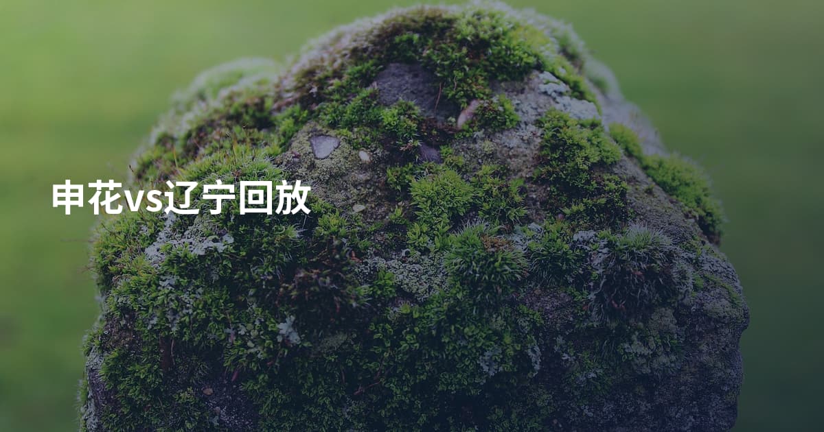 申花vs辽宁回放