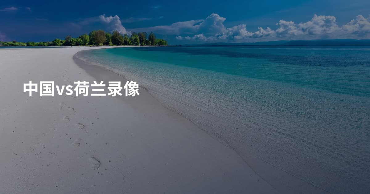 中国vs荷兰录像