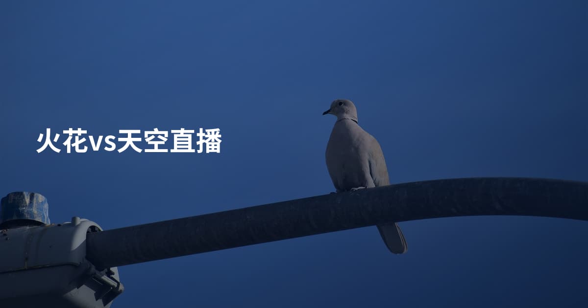 火花vs天空直播