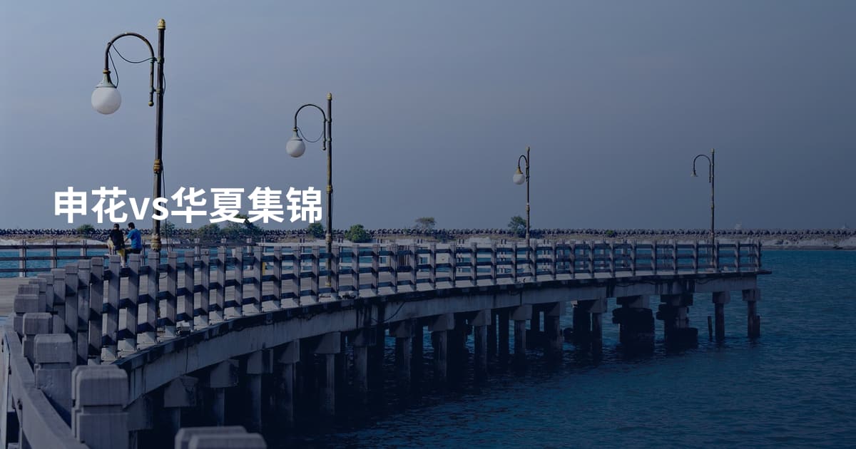 申花vs华夏集锦