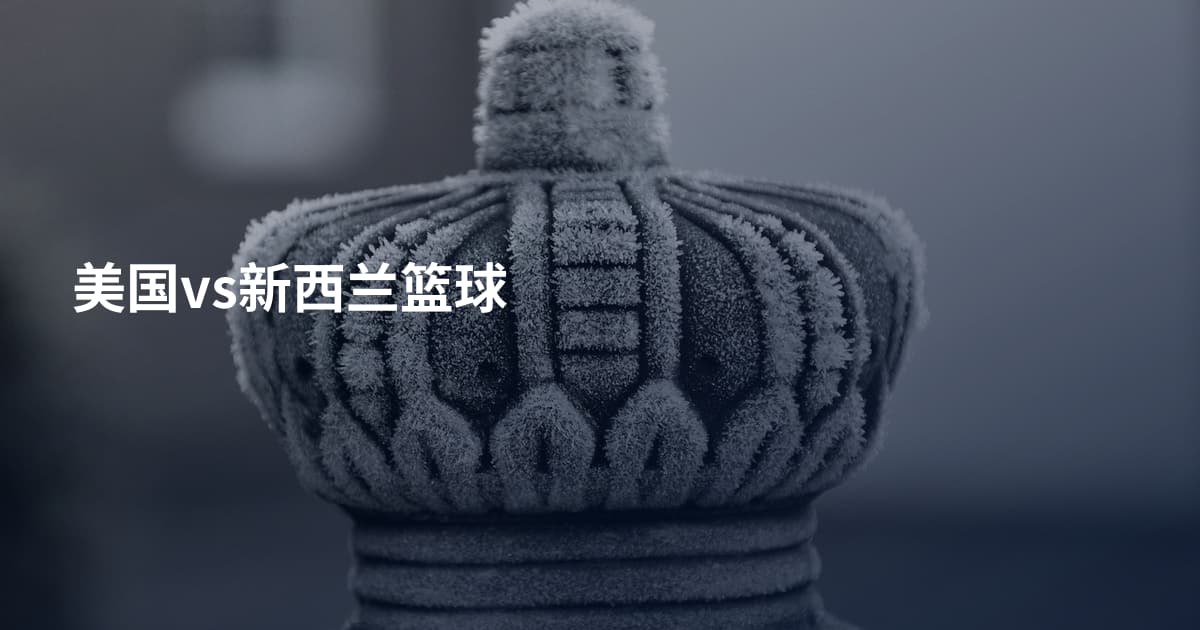 美国vs新西兰篮球