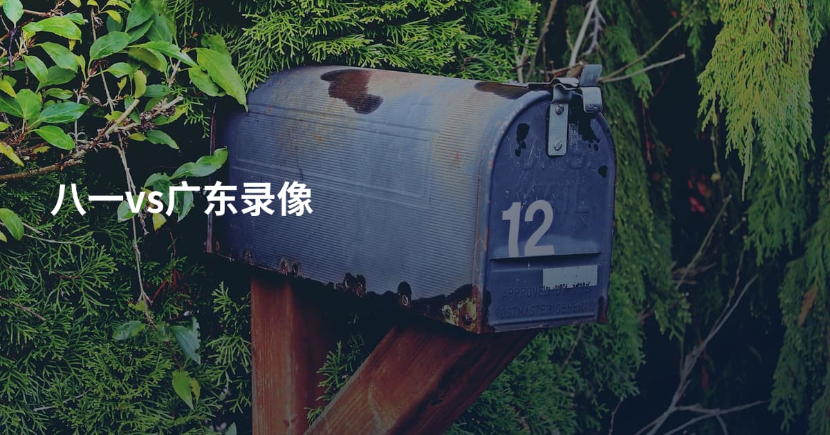 八一vs广东录像