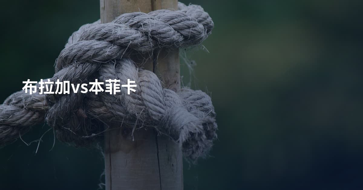布拉加vs本菲卡
