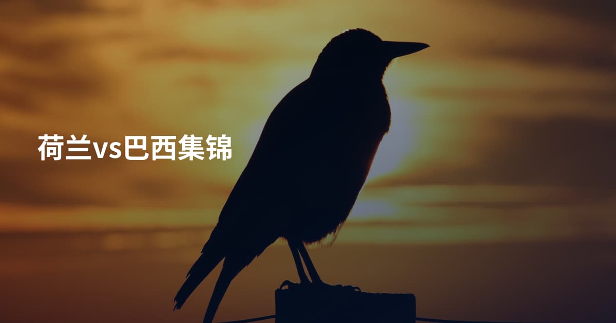 荷兰vs巴西集锦