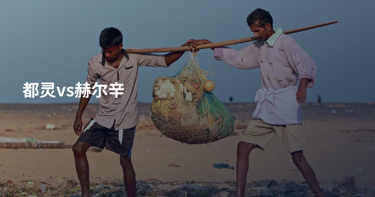 都灵vs赫尔辛