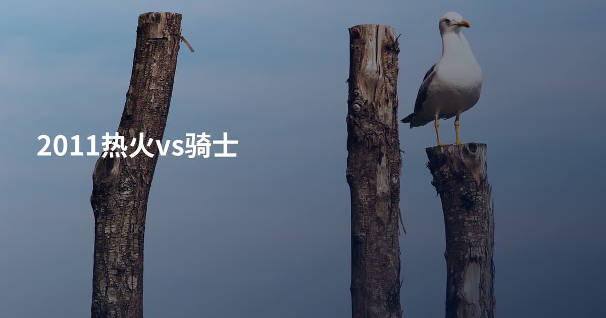 2011热火vs骑士