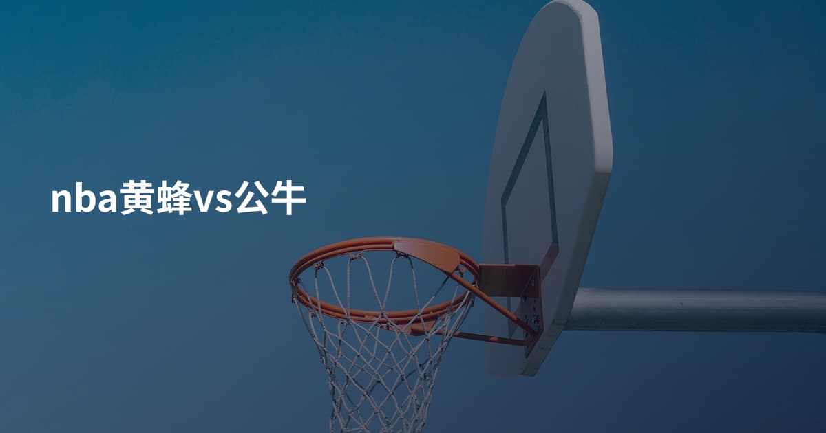 nba黄蜂vs公牛