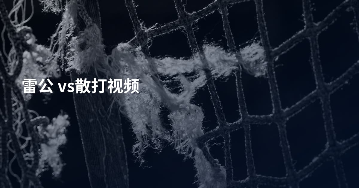 雷公 vs散打视频