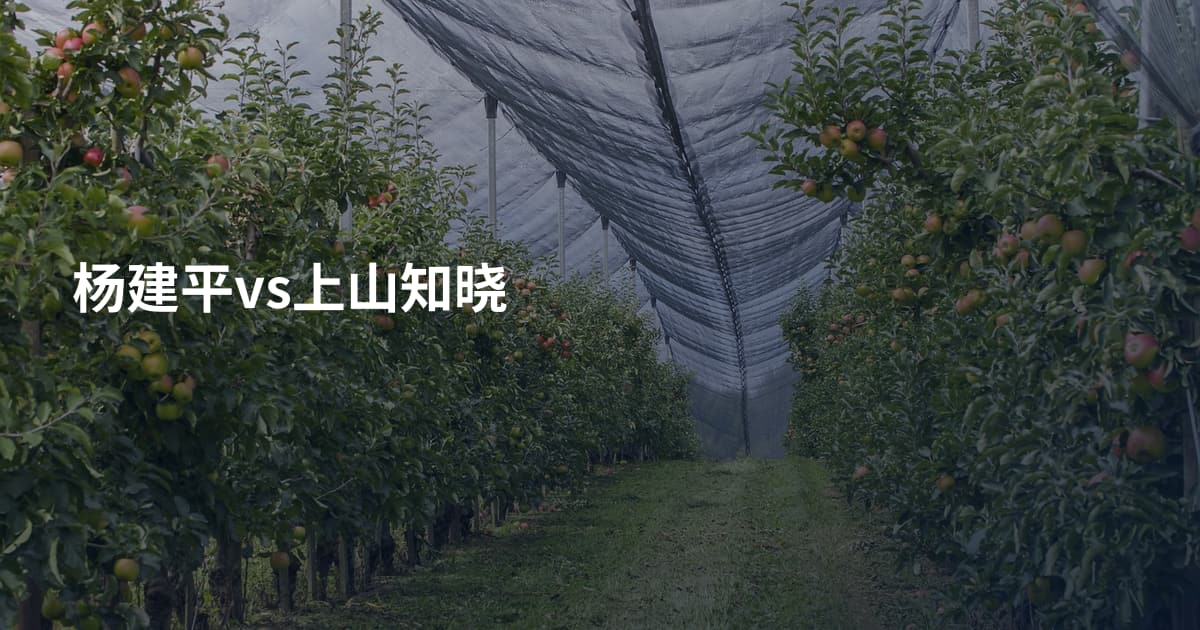 杨建平vs上山知晓