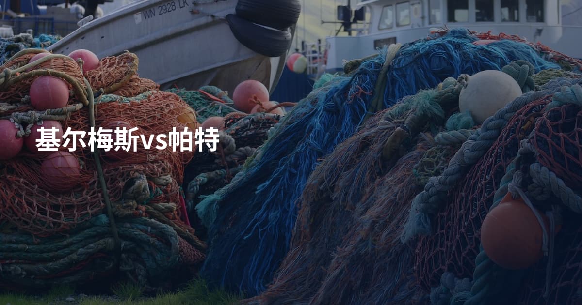基尔梅斯vs帕特