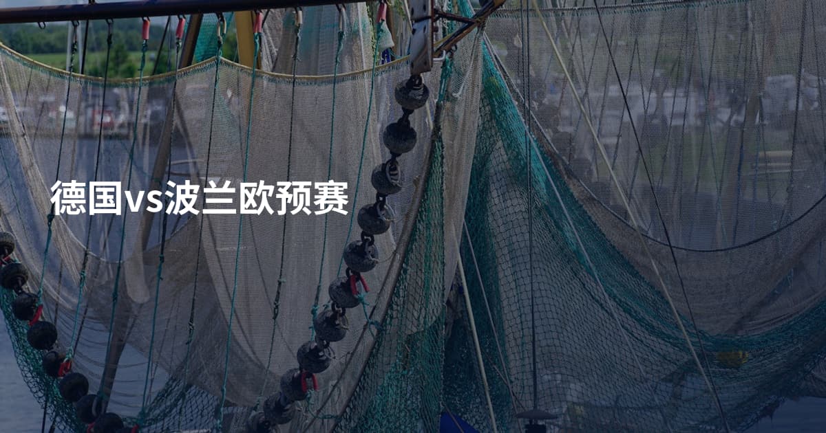 德国vs波兰欧预赛