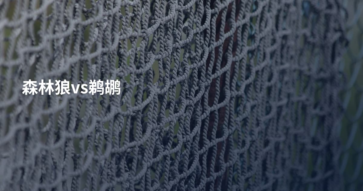 森林狼vs鹈鹕