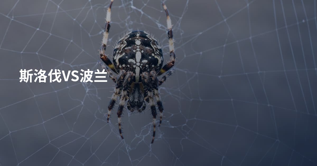 斯洛伐VS波兰
