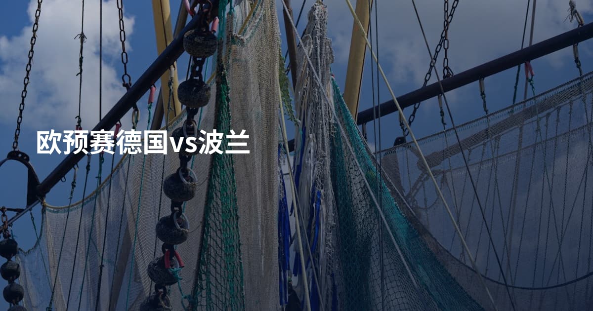 欧预赛德国vs波兰