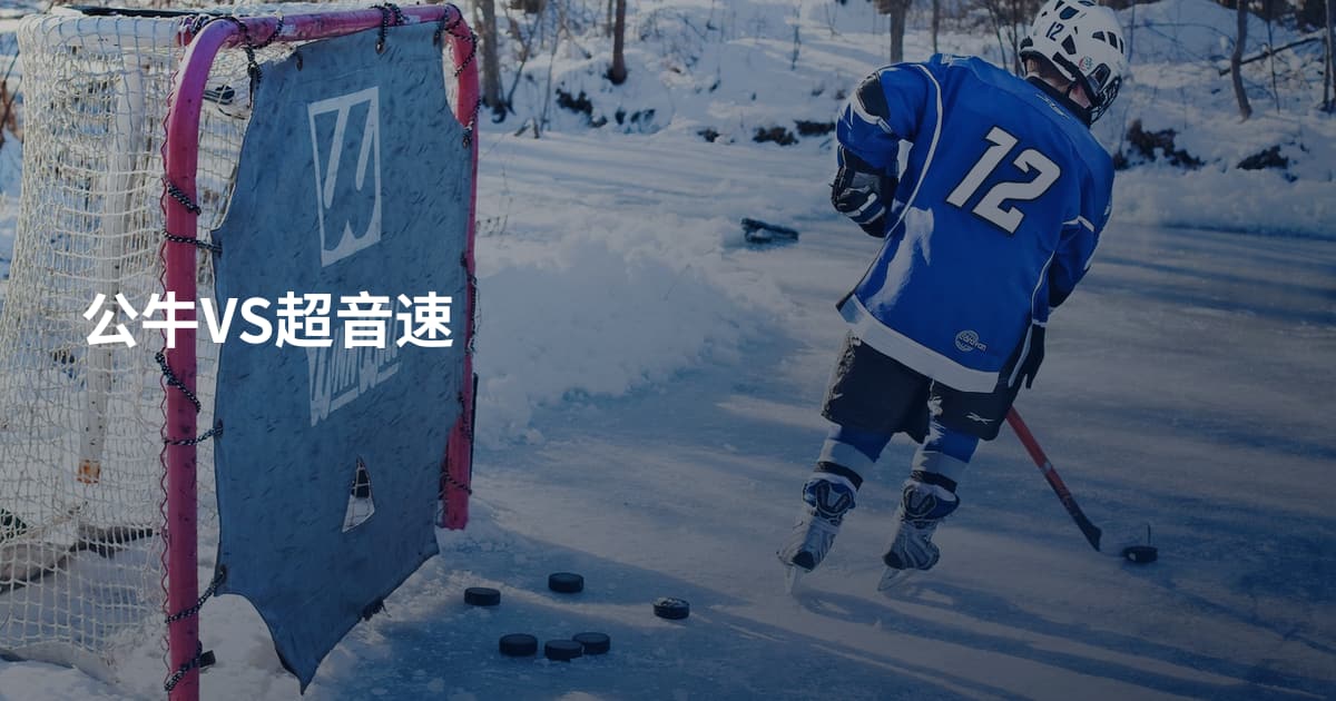 公牛VS超音速