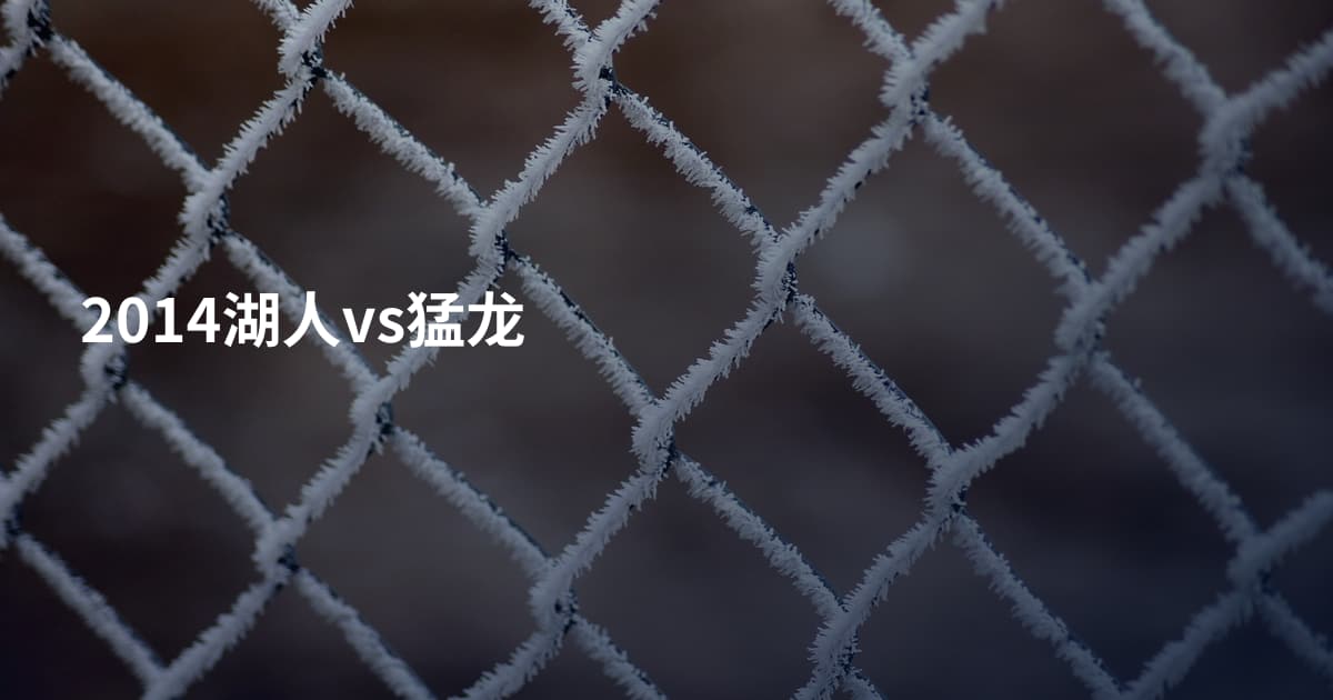 2014湖人vs猛龙