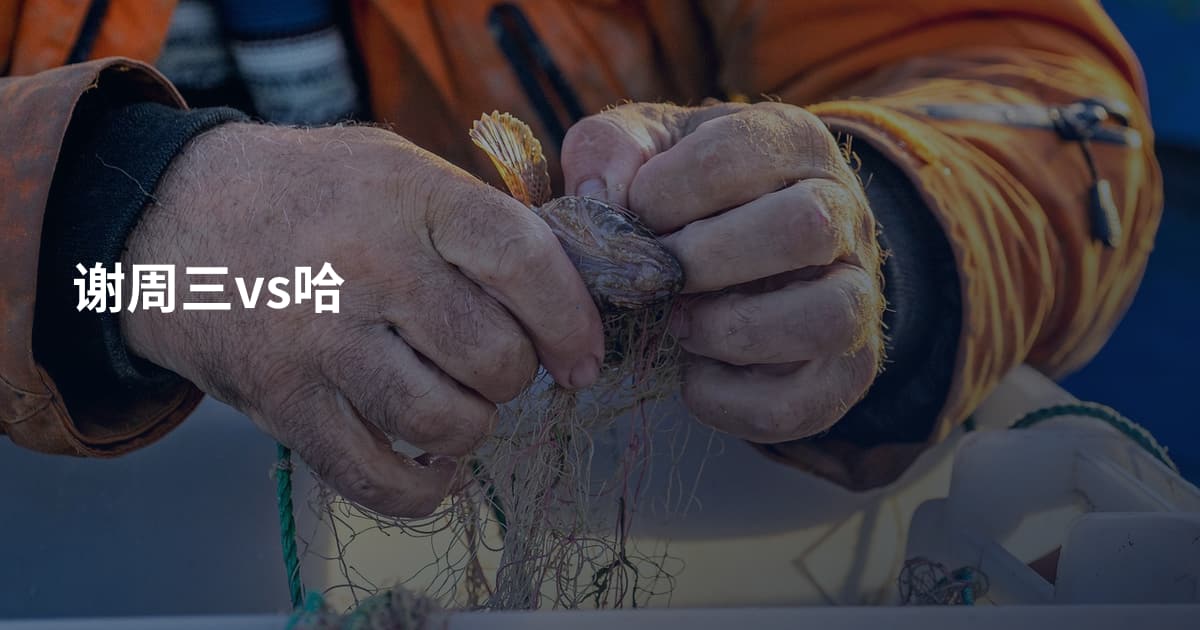 谢周三vs哈