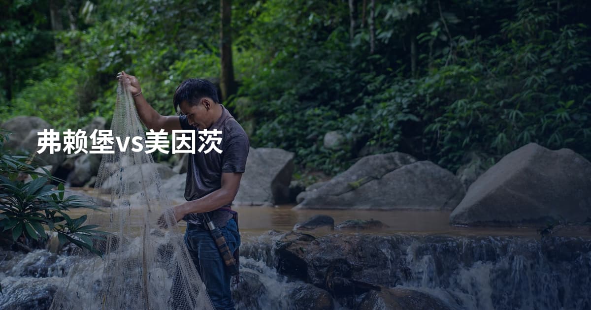 弗赖堡vs美因茨