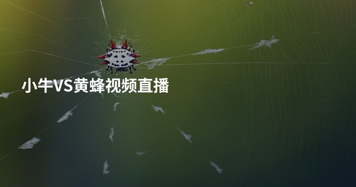 小牛VS黄蜂视频直播