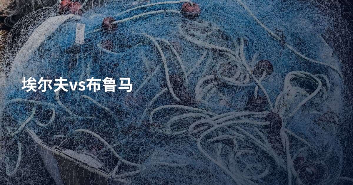 埃尔夫vs布鲁马
