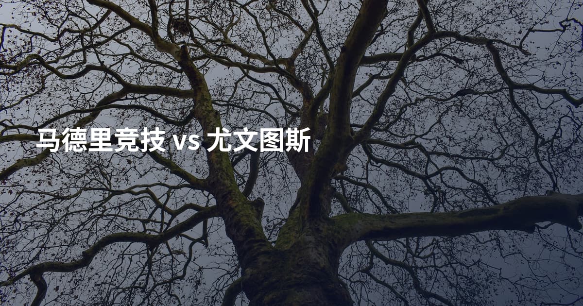 马德里竞技 vs 尤文图斯