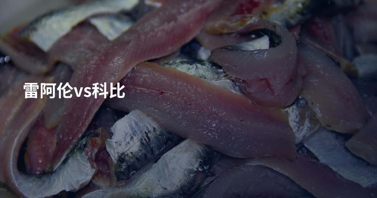 雷阿伦vs科比