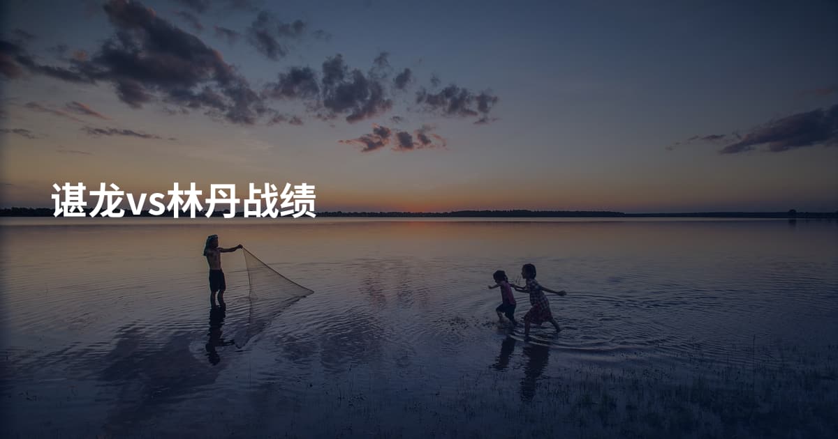 谌龙vs林丹战绩