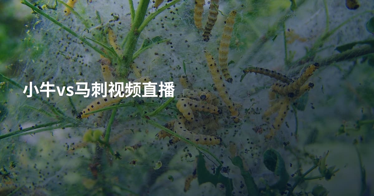 小牛vs马刺视频直播