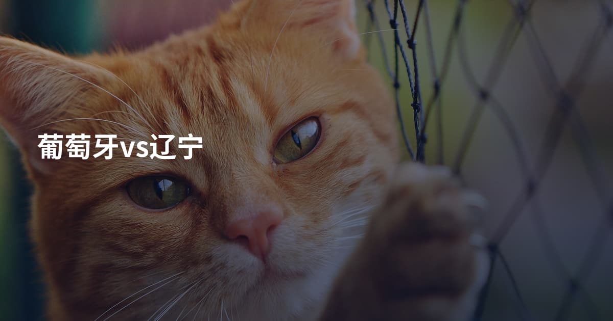 葡萄牙vs辽宁