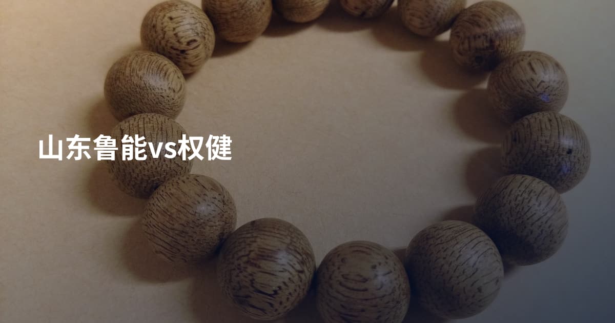 山东鲁能vs权健