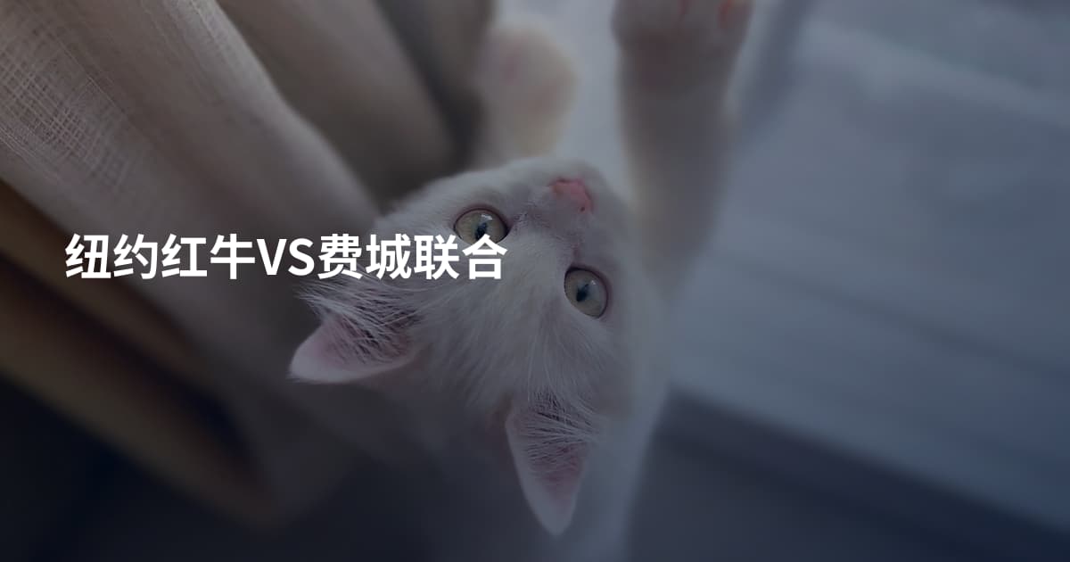 纽约红牛VS费城联合