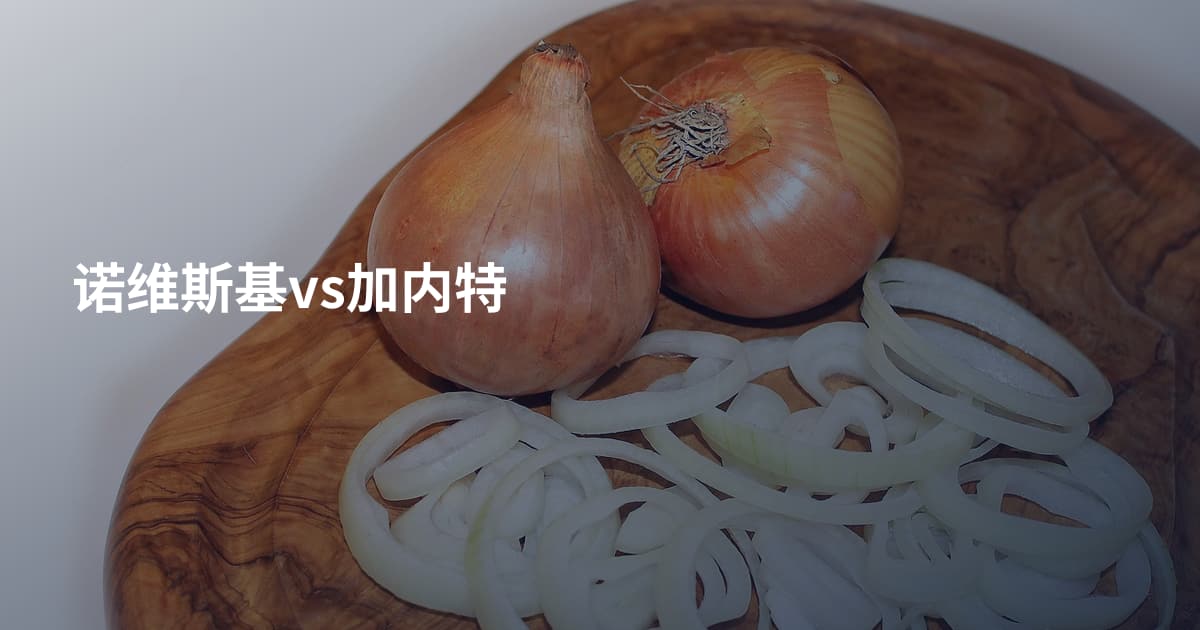 诺维斯基vs加内特
