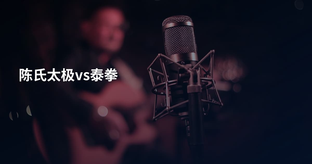 陈氏太极vs泰拳