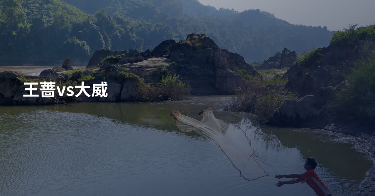 王蔷vs大威