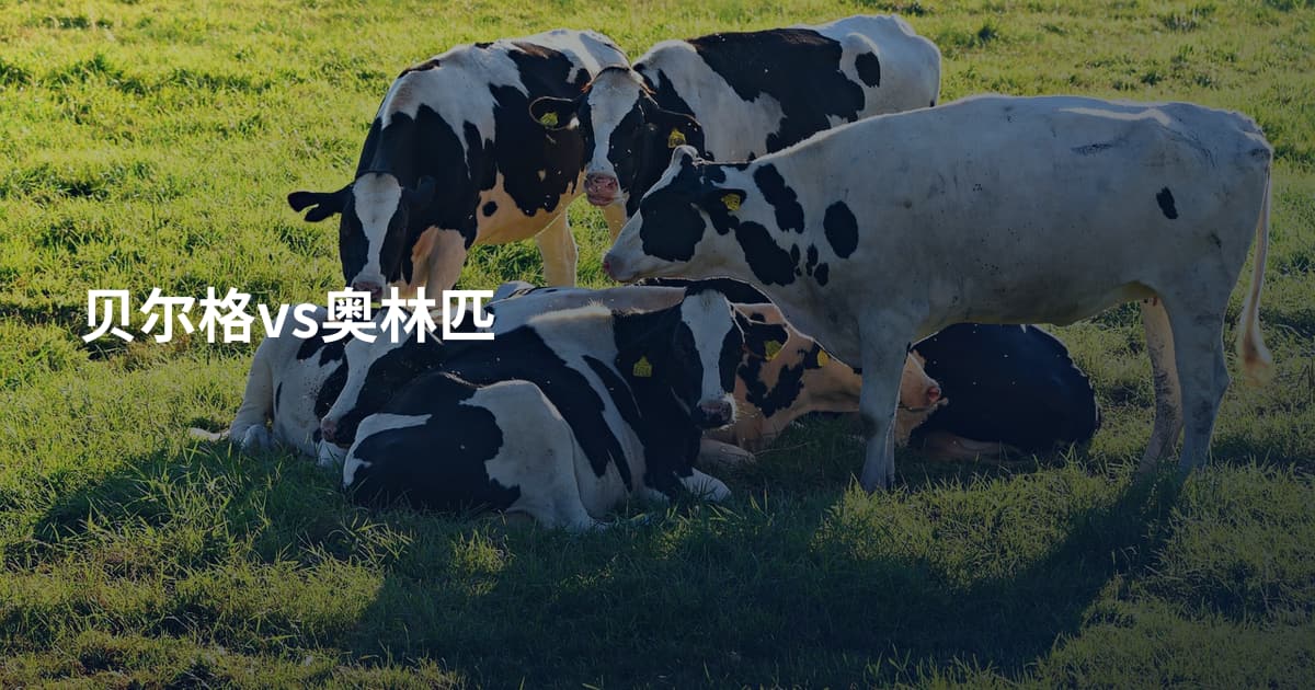 贝尔格vs奥林匹
