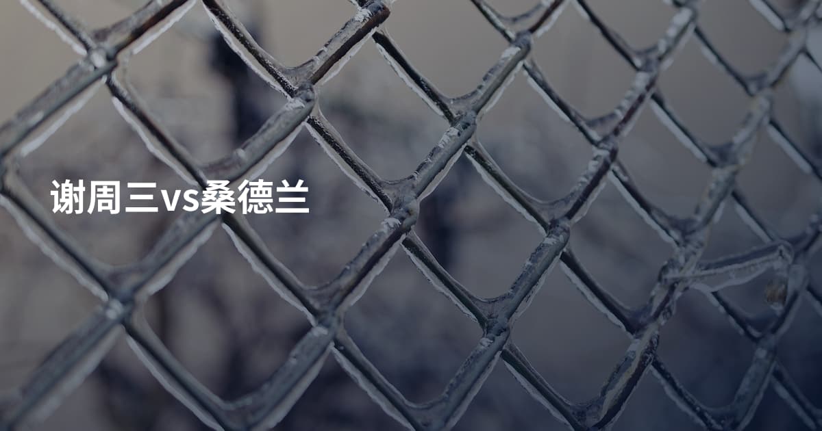 谢周三vs桑德兰