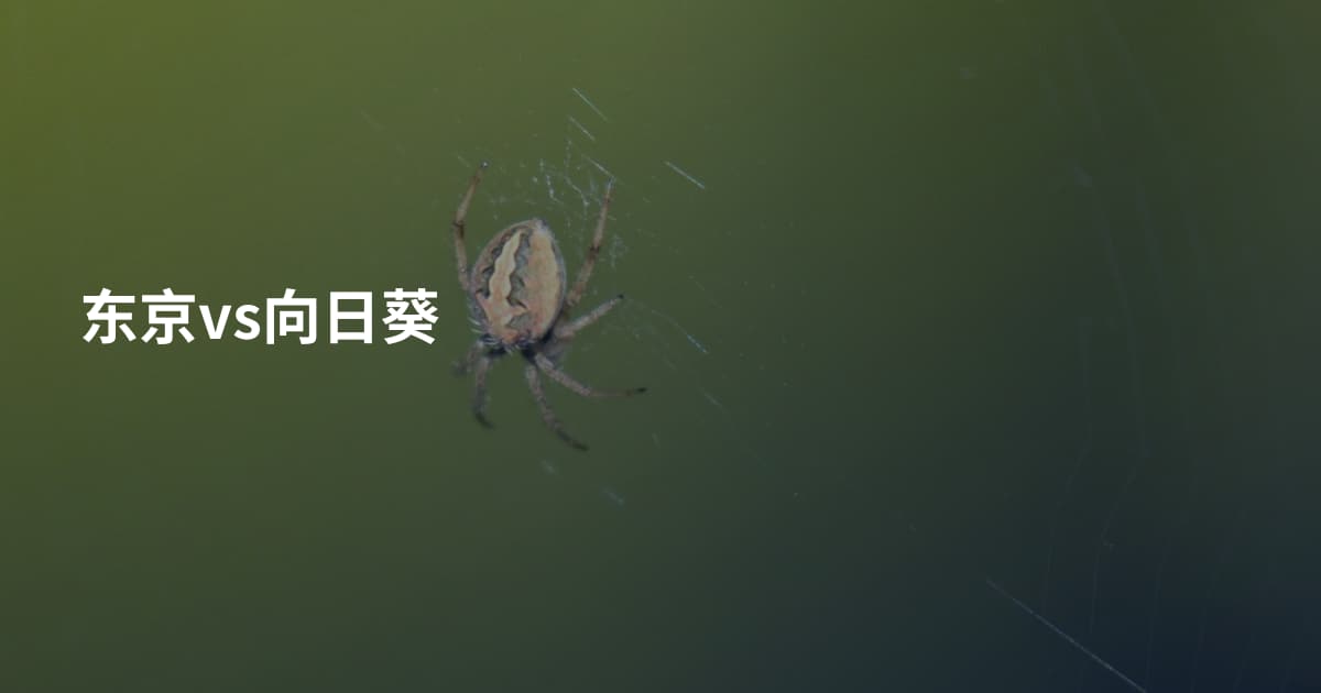 东京vs向日葵