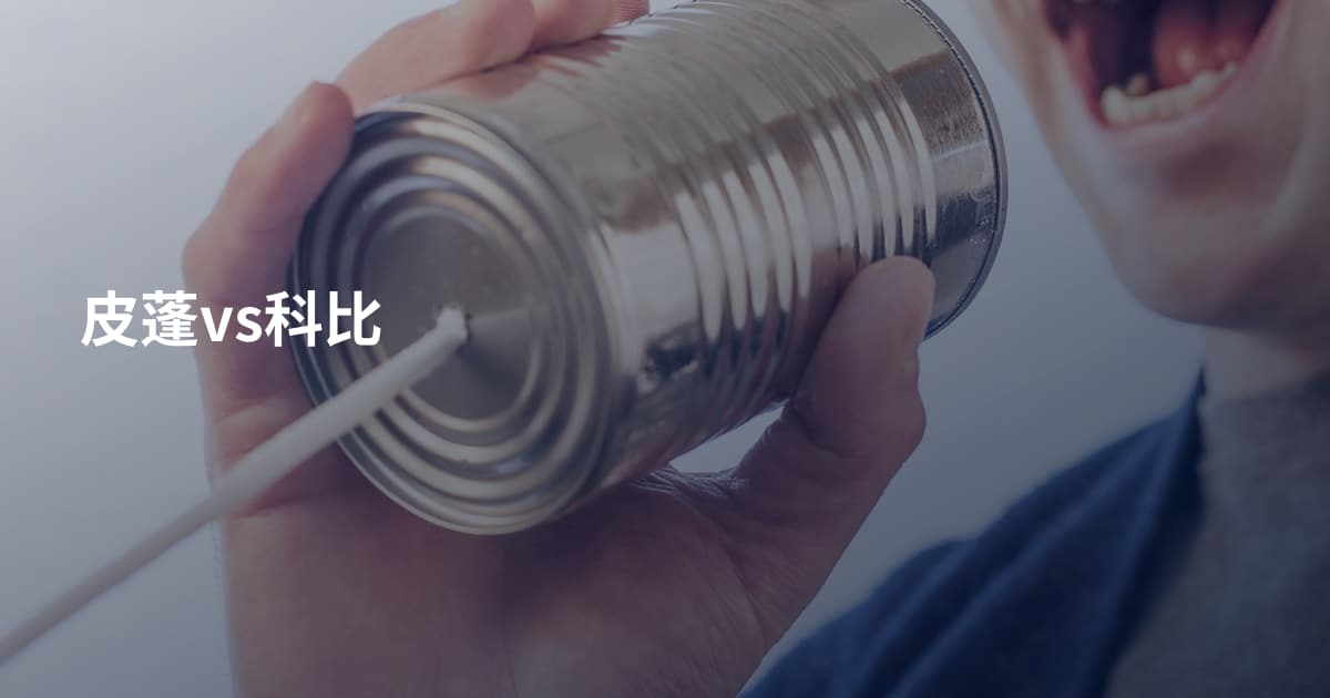 皮蓬vs科比