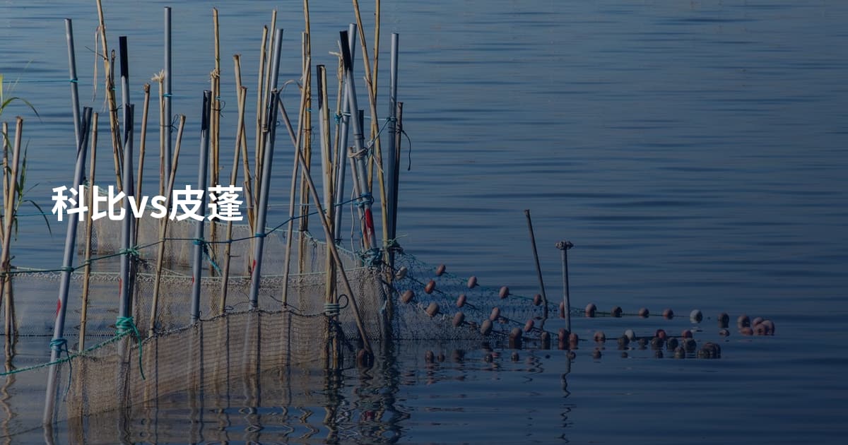 科比vs皮蓬