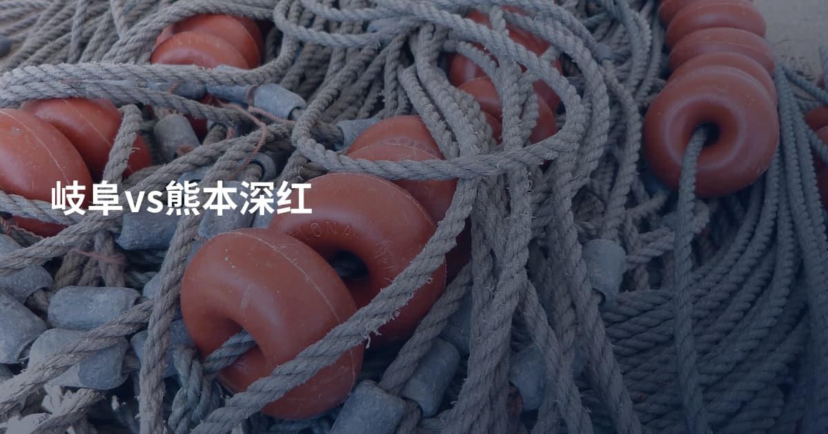 岐阜vs熊本深红