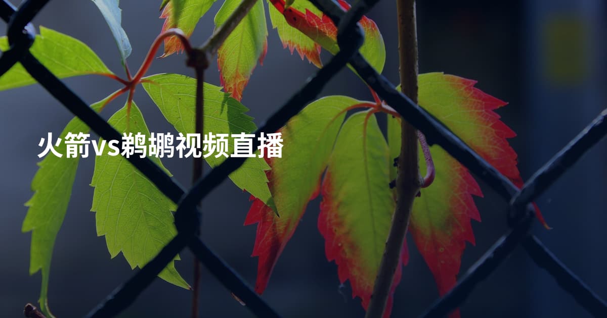 火箭vs鹈鹕视频直播