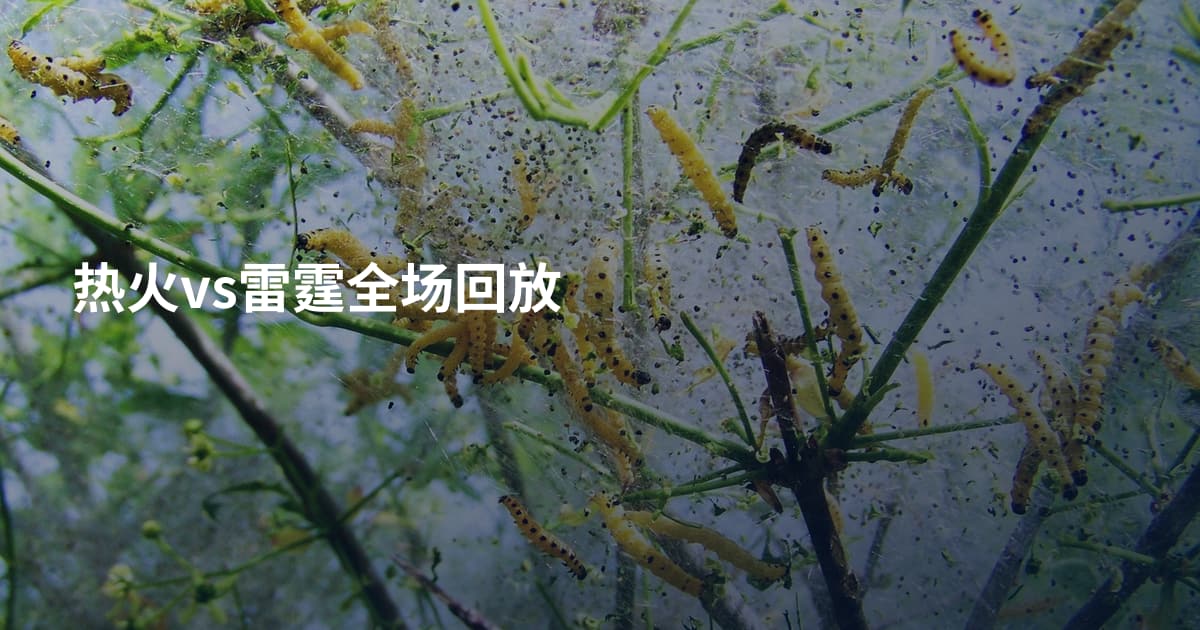 热火vs雷霆全场回放