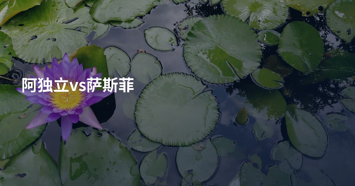 阿独立vs萨斯菲
