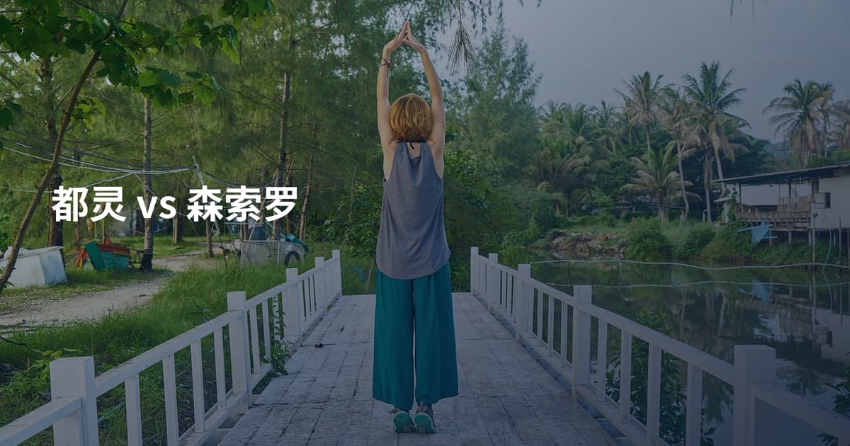 都灵 vs 森索罗