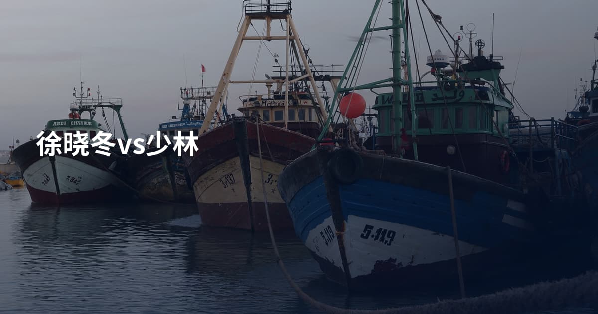 徐晓冬vs少林