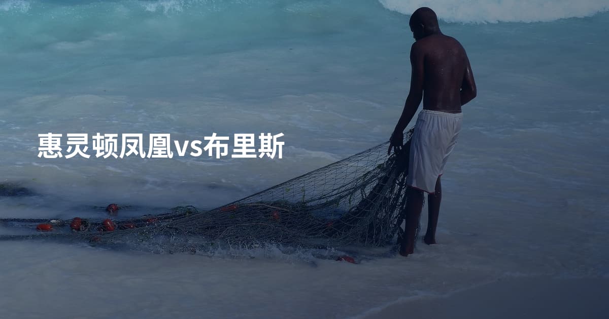 惠灵顿凤凰vs布里斯