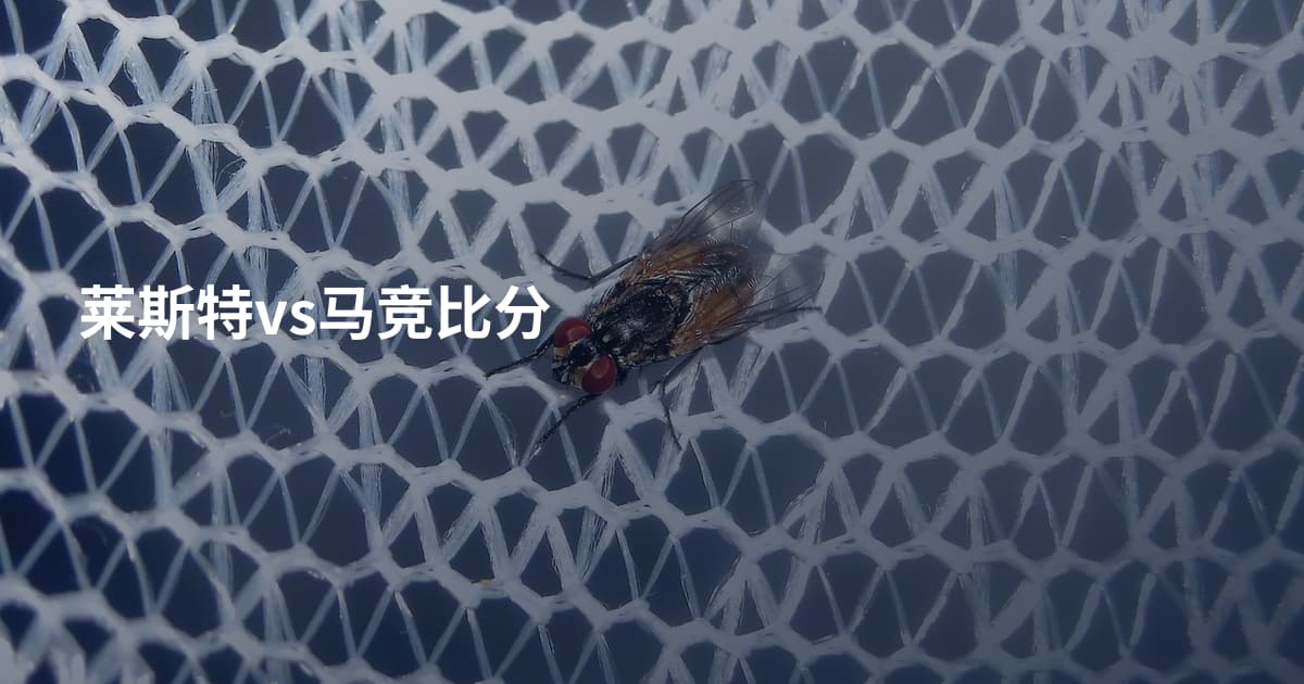 莱斯特vs马竞比分