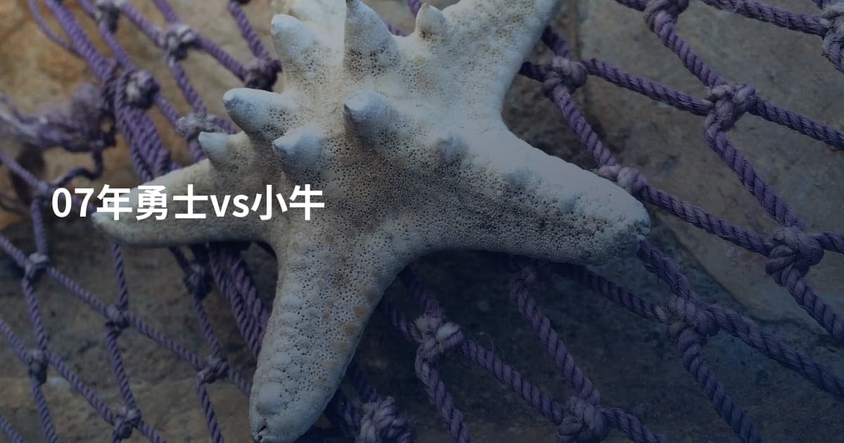 07年勇士vs小牛