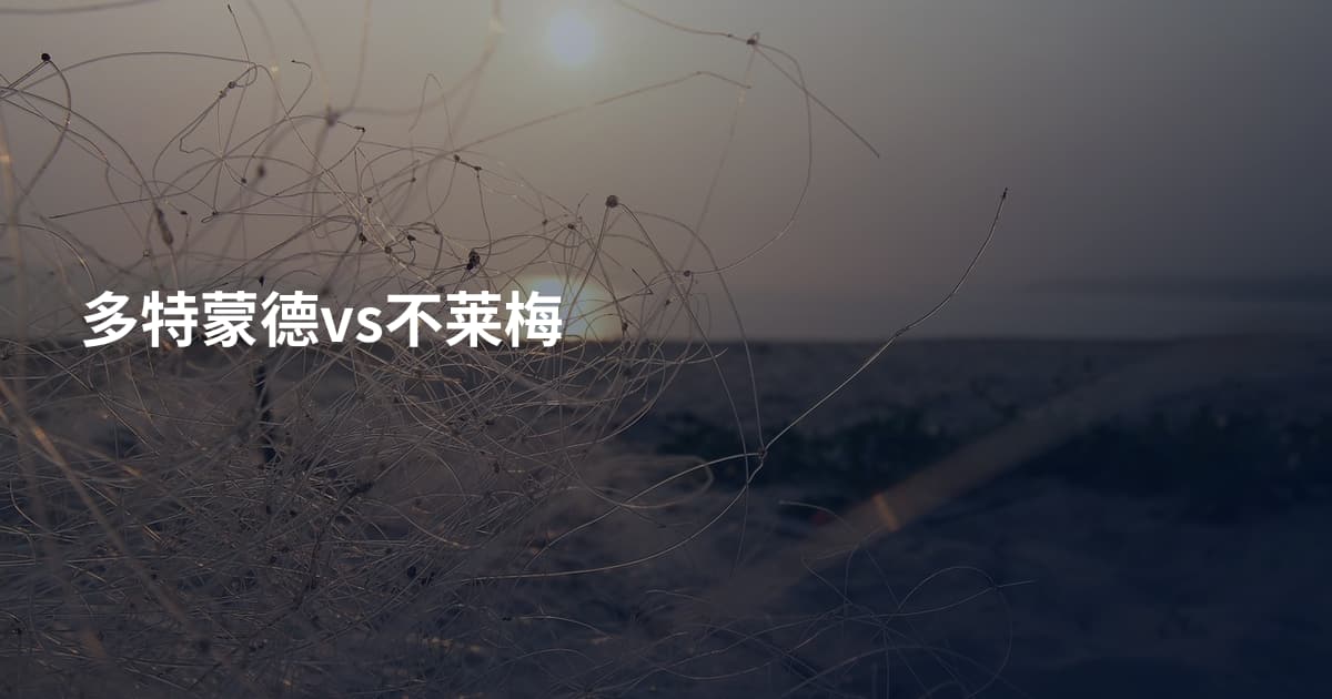 多特蒙德vs不莱梅
